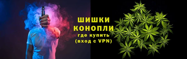 крисы Абаза