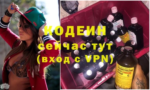 крисы Абаза