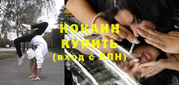 крисы Абаза